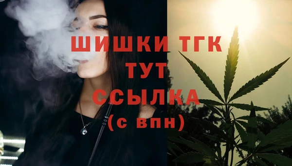 стафф Верхний Тагил