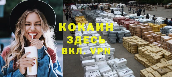стафф Верхний Тагил