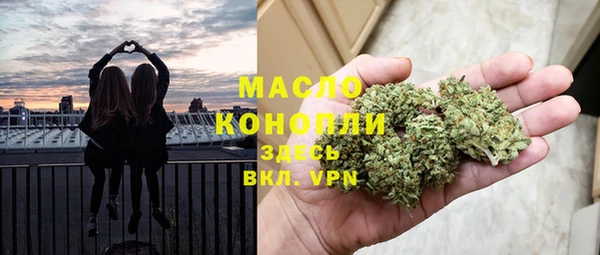 стафф Верхний Тагил
